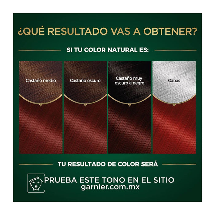 Tinte Garnier Nutrisse Oleos  Nro. 6.66 Rubio Rojizo