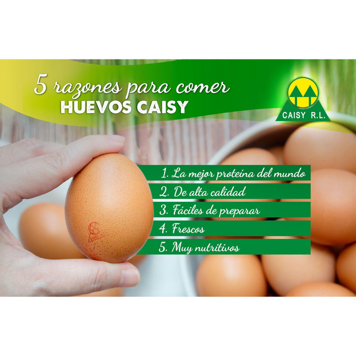 Huevos Caisy Campeon X 12 Unidades