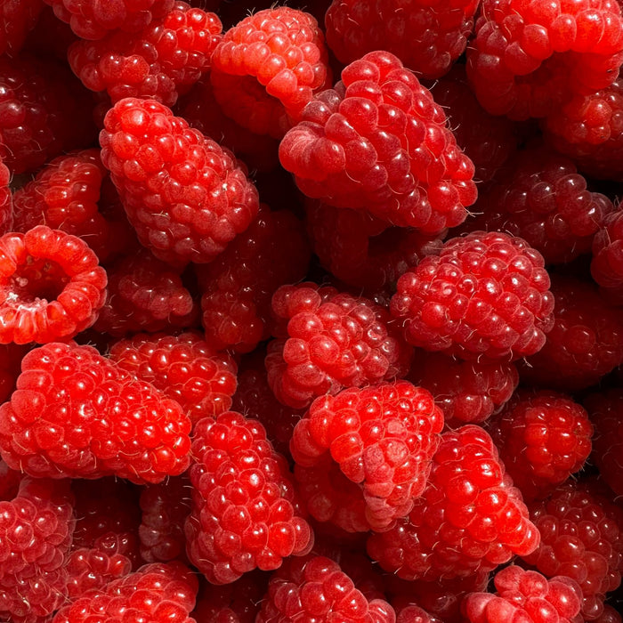 Frambuesas Congeladas Frutas De Tarija X 250G