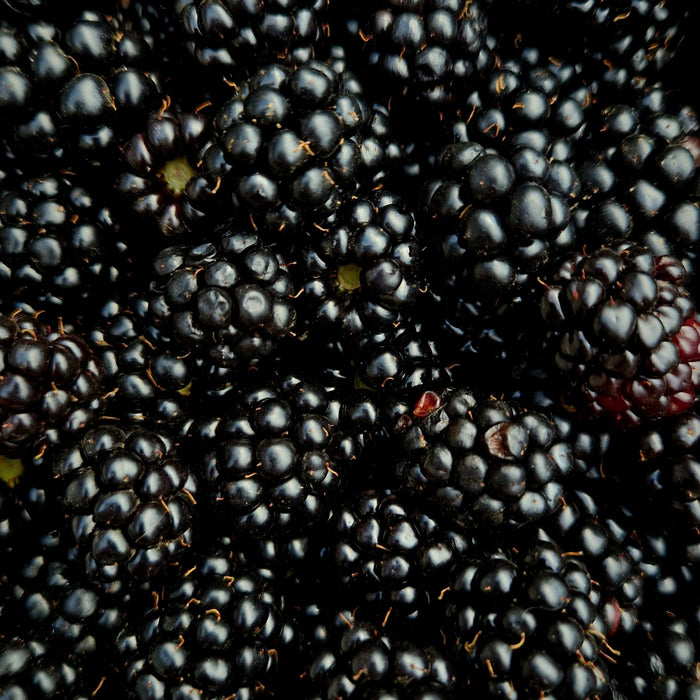 Zarzamoras Congeladas Frutas De Tarija X 250G