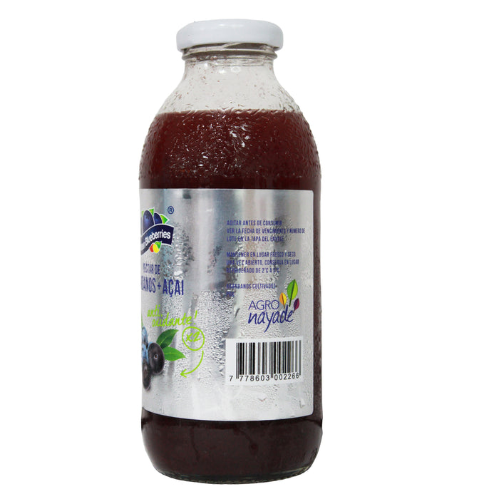 Andean Blueberries Nectar Arandano+Asai X 475Ml