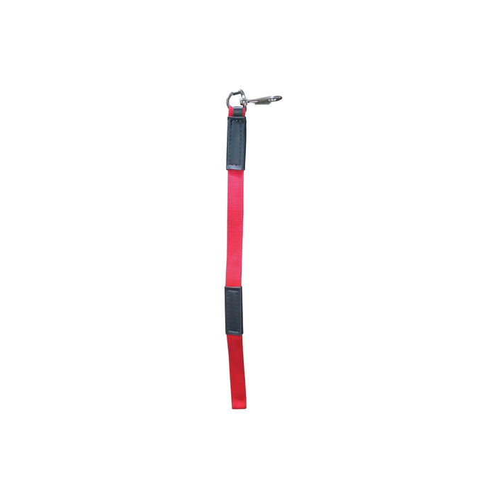 Correa De Adiestramiento Furacaopet Nylon 60Cmx25mm
