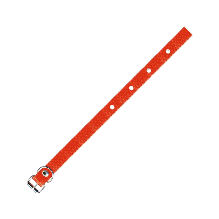 Collar De Seda Furacaopet Simple N5 15Mm