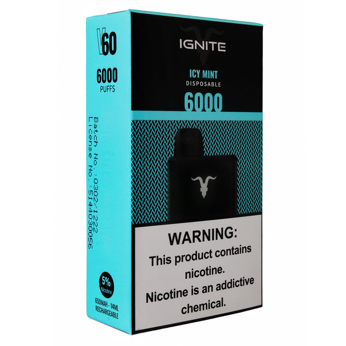 Ignite Vape Icy Mint 6000 Puffs