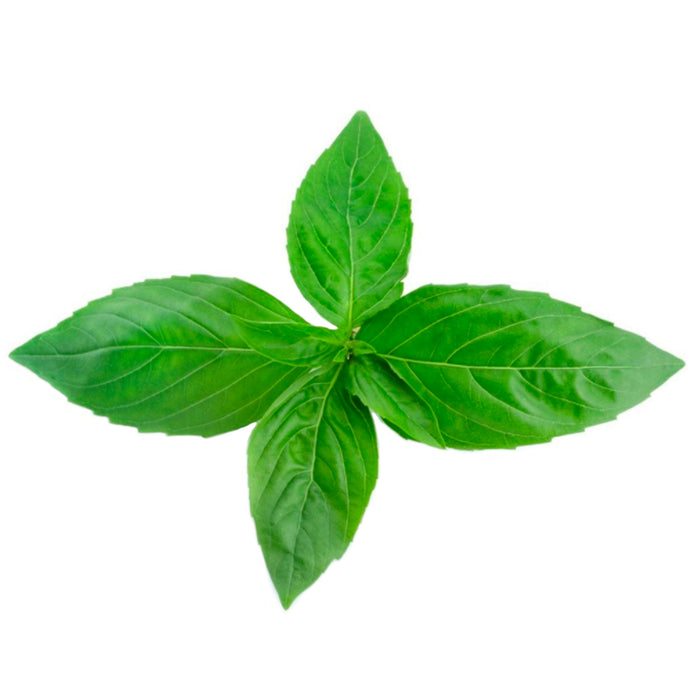 Albahaca X 100G (Peso Aprox.)