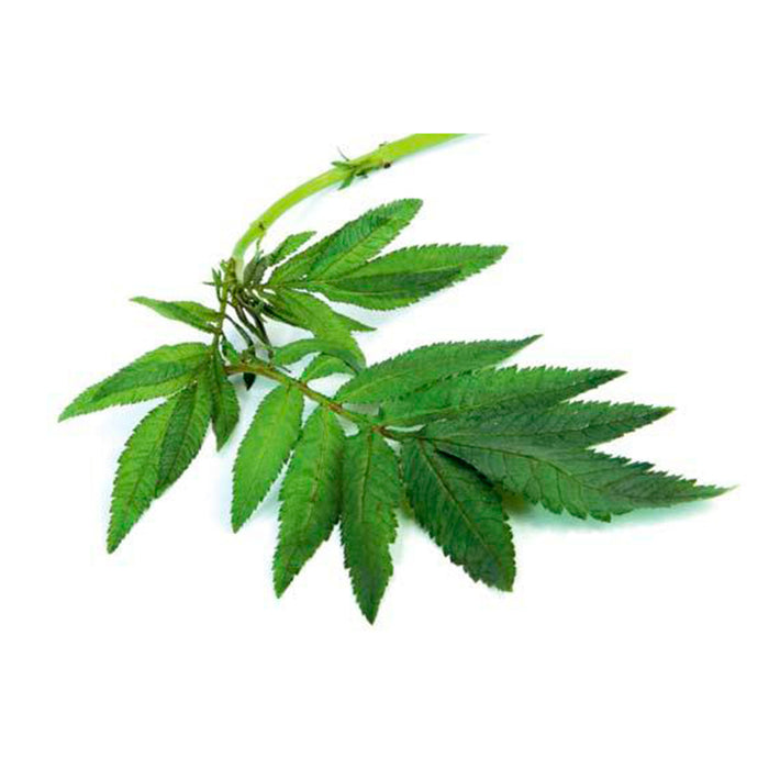 Huacataya X 100G (Peso Aprox.)