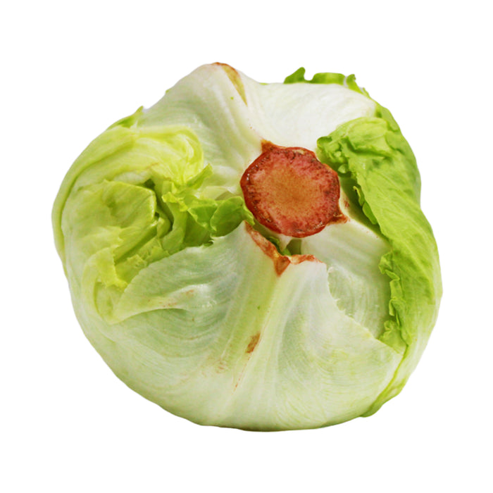 Lechuga Escarola X 300G (Peso Aprox.)