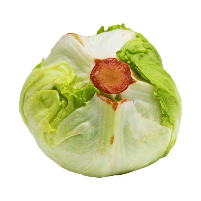 Lechuga Escarola X 300G (Peso Aprox.)