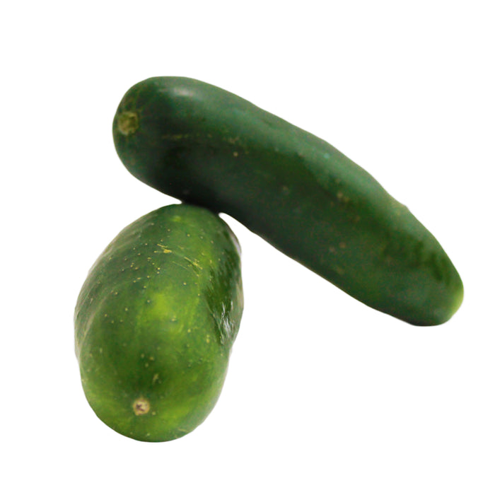 Pepino X 500G (Peso Aprox.)