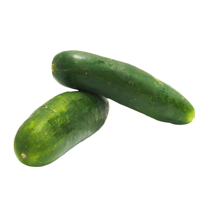 Pepino X 500G (Peso Aprox.)