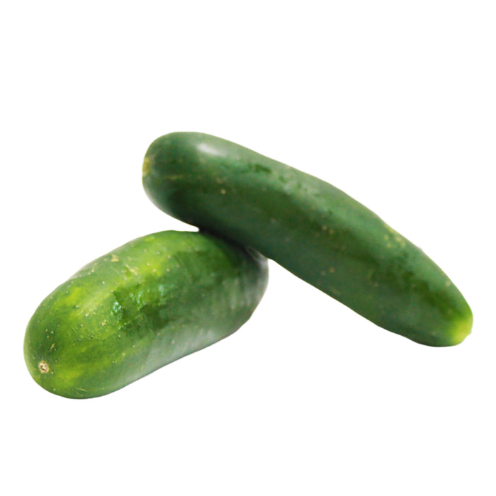 Pepino X 500G (Peso Aprox.)