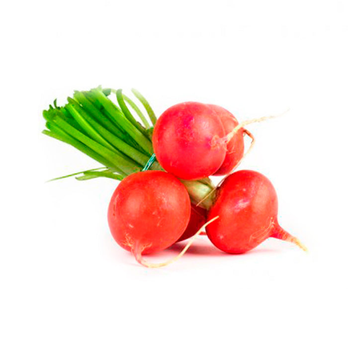 Rábano X Kg