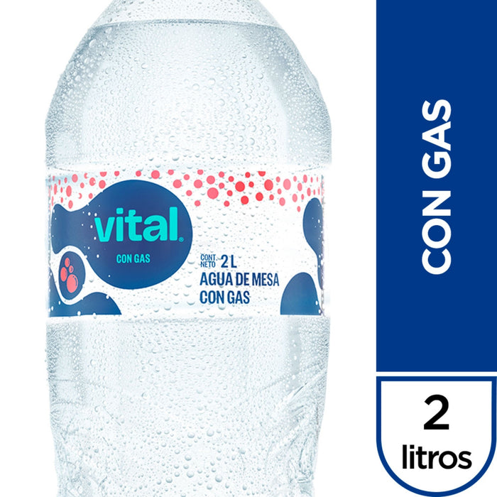 Agua Vital Con Gas X 2 L